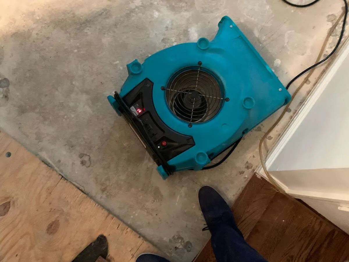 Air mover drying subfloor during Leak Detection & Repair in Georgetown
